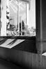 grayscale photo of flower on window