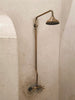 Vintage brass shower head and faucet on wall.